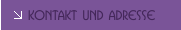 Kontakt und Adresse 
