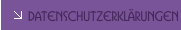 Datenschutzerklärungen